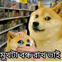 Kutu Mia