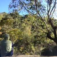 Fariba Tabassum Ayshi