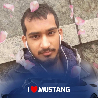 নিপুণ নিপুণ